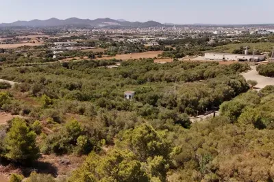 Plot for sale in Son Talent — photo 1