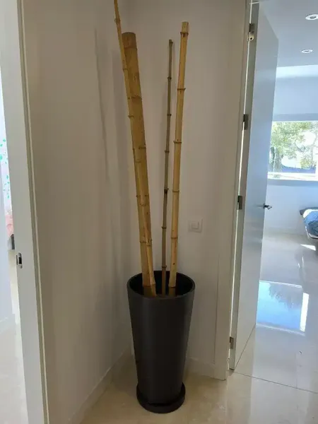 Piso en Bendinat Calvià en complejo de lujo a tan solo 400 metros de la playa. — photo 11