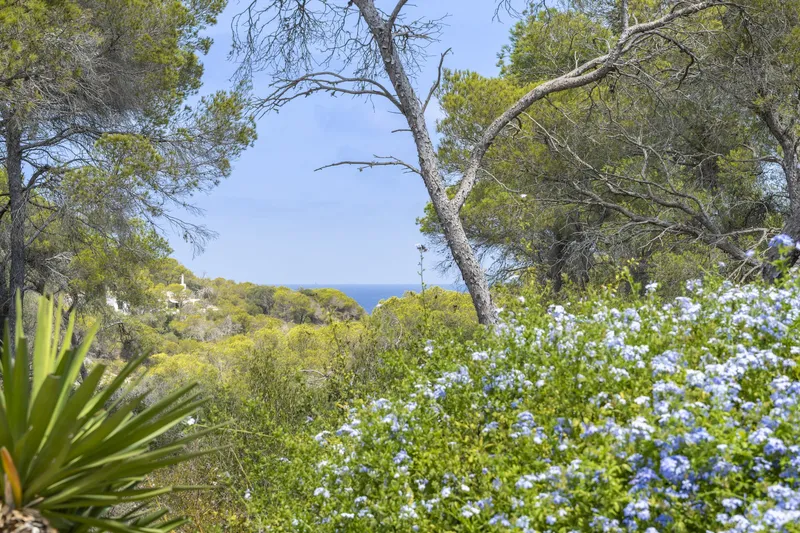 Sea view house by the Mondragó Nature Reserve in Cap des Moro — photo 7