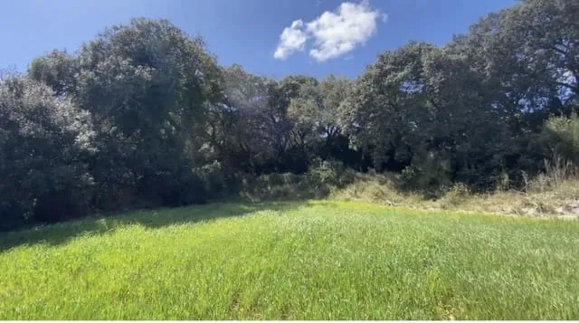 Finca/Country House for sale in Lloret de Vista Alegre — photo 12