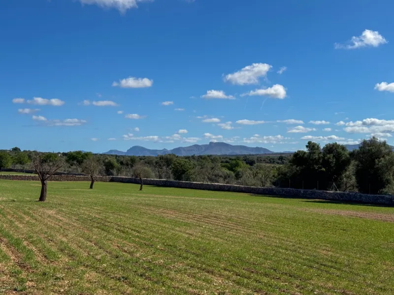 Beautiful rustic estate with panoramic views, natural light... — photo 5