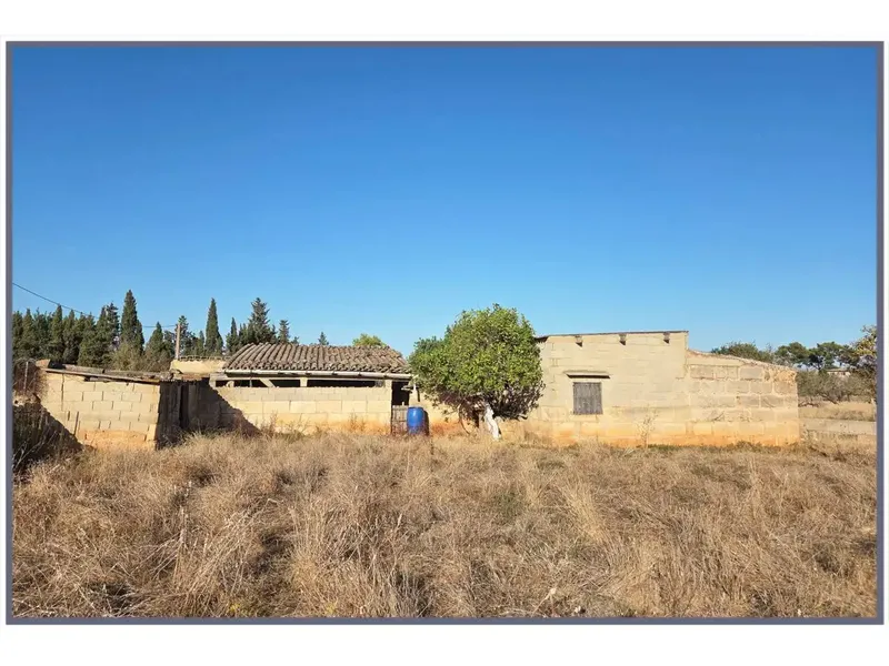 En el municipio de Búger les ofrecemos esta finca rústica de uno 8.000m2 de terreno con una edificación agraria existente de unos 240m2 apro — photo 1