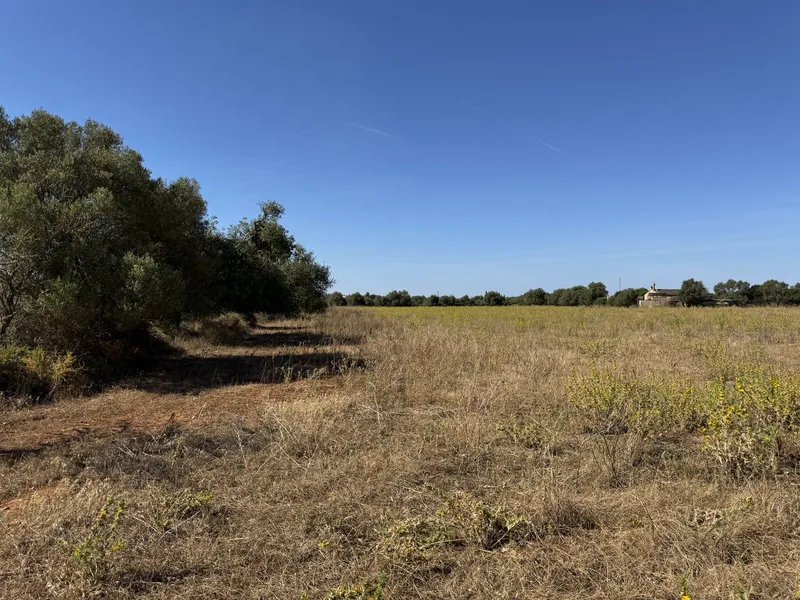 Impressive newly built Country House in Campos — photo 4