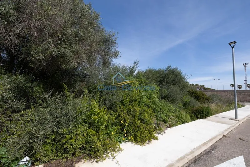 Plot — photo 3