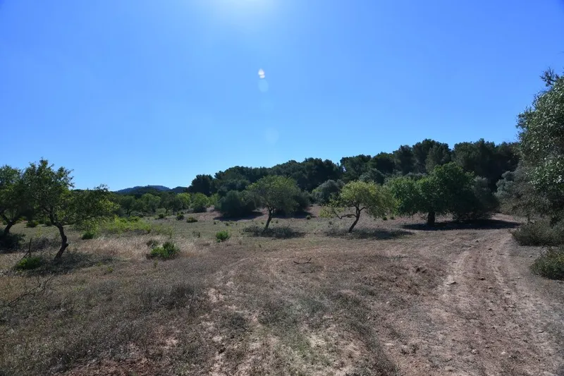 Beautiful hillside plot with panoramic views near Cas Concos - Es Carritxo — photo 5
