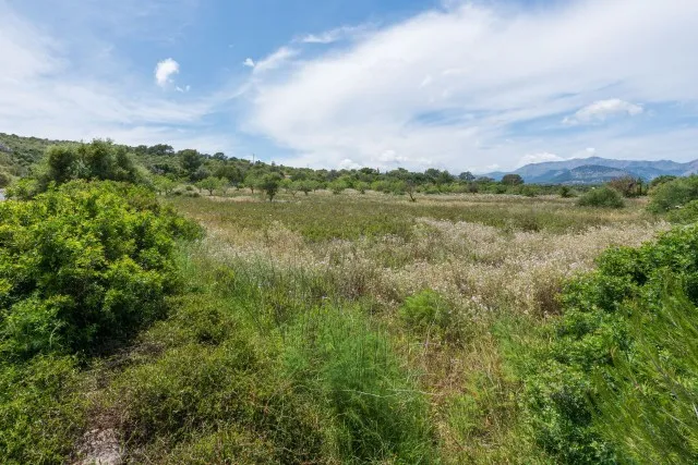 Prime plot with sea views and licensed project for sale in Alcudia, North Mallorca — photo 6