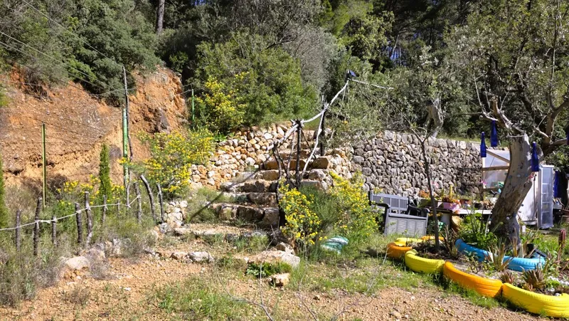 Olive grove with stone cottage and views of the Tramuntana in Sóller — photo 2
