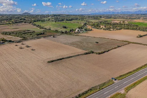 Land in Petra, Mallorca — photo 10