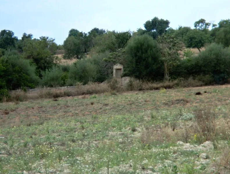 Large plot with several buildings between Campos and Llucmajor — photo 2