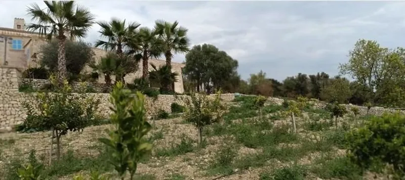 Rural or Farmhouse in Montuïri, Province of Balearic Islands — photo 8