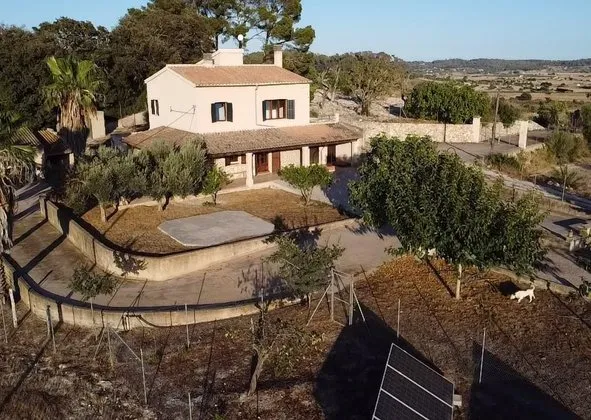 Estate in Sineu — photo 1