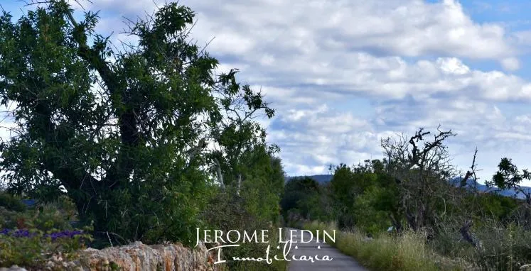 Spectacular building land with project and license near Es Llombards — photo 2