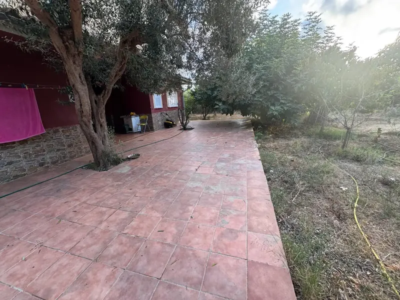 Marratxi-Son Ametler, house of about 166 m2, on one floor, spacious rooms, 3 bedrooms, 2 living rooms, 2 bathrooms, large parking area — photo 11