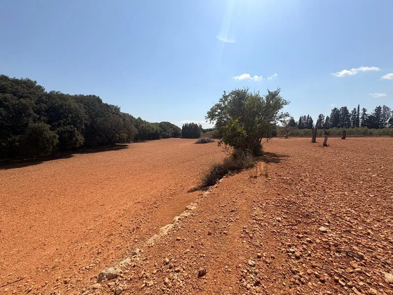 FINCA RUSTICA CON CASITA AGRARIA DE UNOS 34M2 CON CISTERNA — photo 9