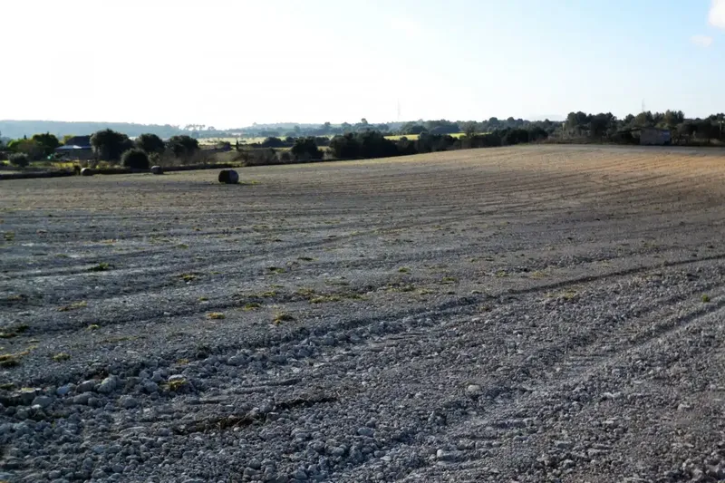 Plot of more than 25000 m2 in Llubí — photo 8