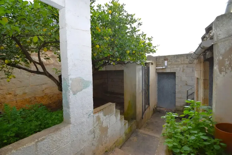 Fantastic Mallorcan house with garage and patio in Muro — photo 4