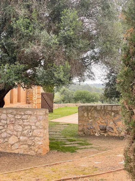 Finca Son Compte – Country Estate in Manacor — photo 7