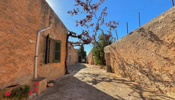Rustic estate in Palma — photo 2