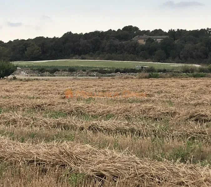 Rustic plot for sale between Porreres and Vilafranca — photo 2