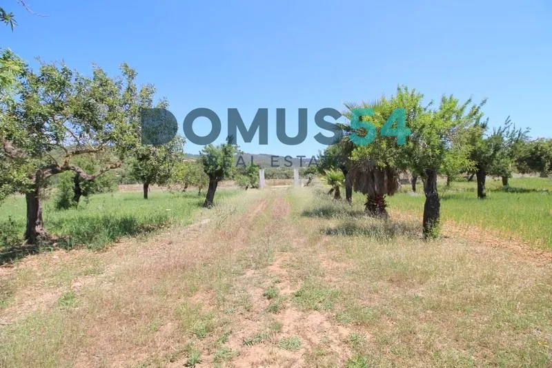 plot in Campanet — photo 11