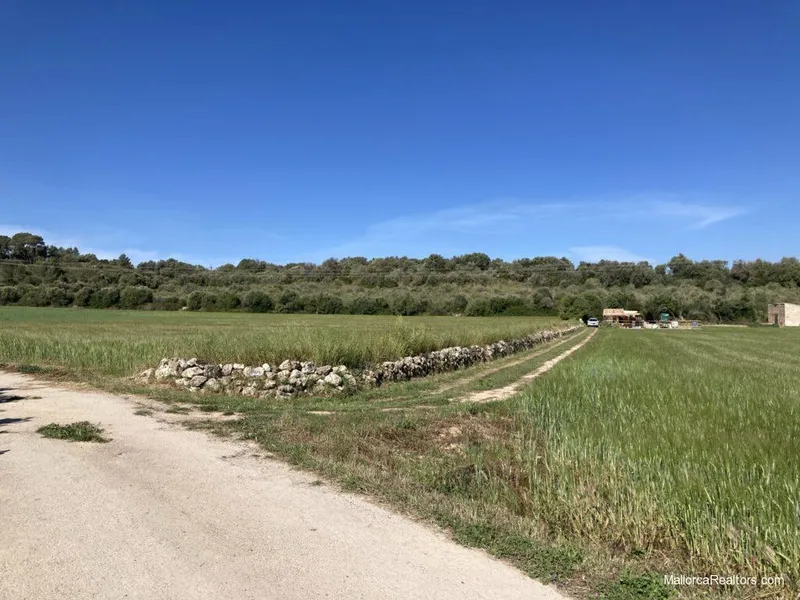 Building plot for a private family house with views over the Bay of Alcudia — photo 8