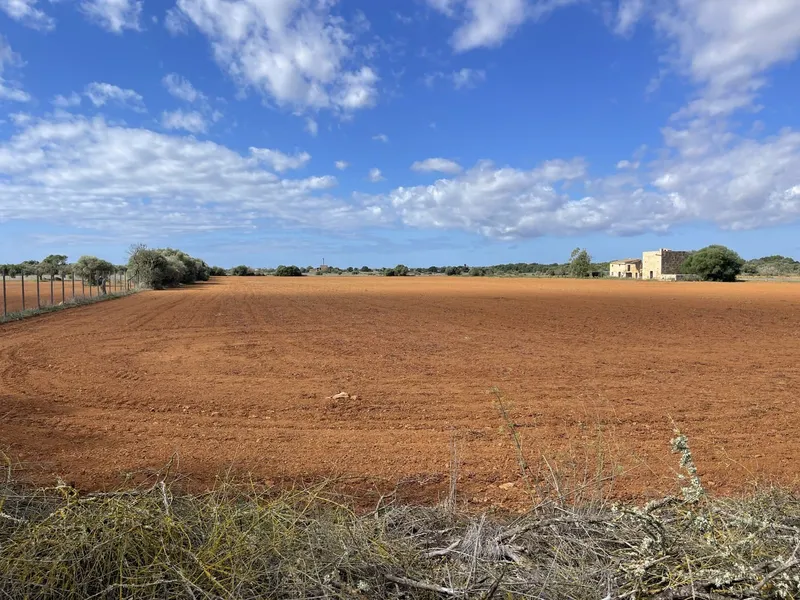 Country house between Campos and Sa Rapita to renovate — photo 3