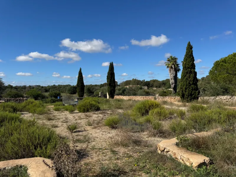 Beautiful rustic estate with panoramic views, natural light... — photo 12