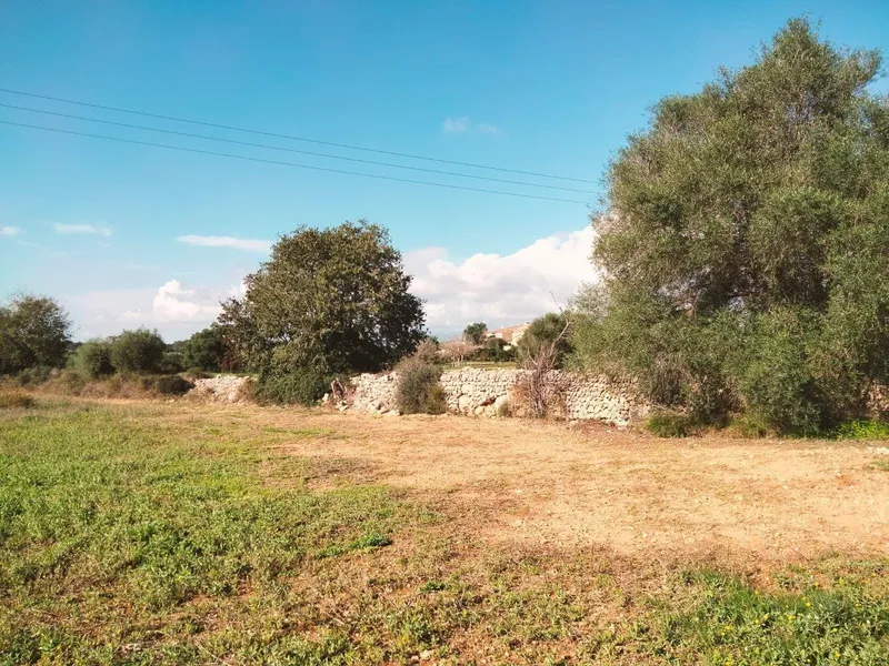 Plot in Llubí of about 3897 m² — photo 1