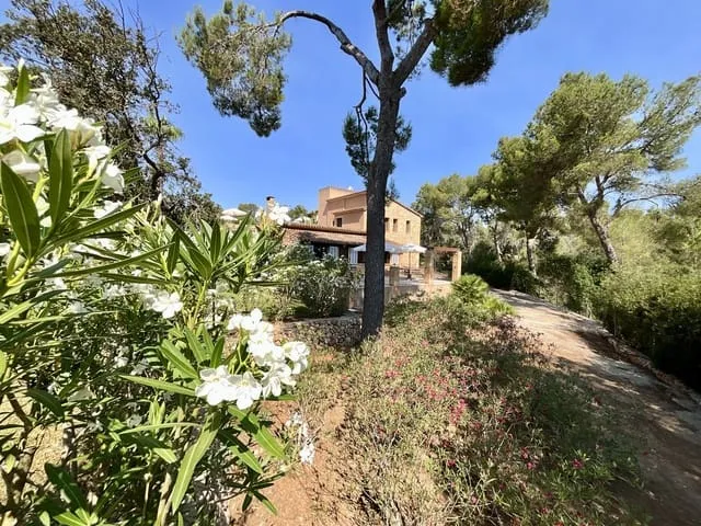 Finca/Country House for sale in Calonge, Santanyí, Mallorca — photo 4