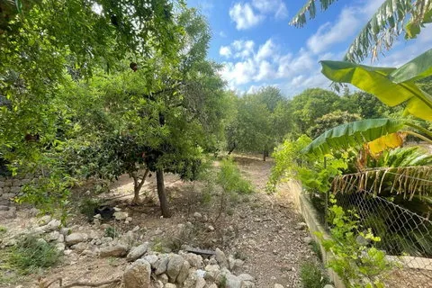 Village house in Campanet, Mallorca — photo 7