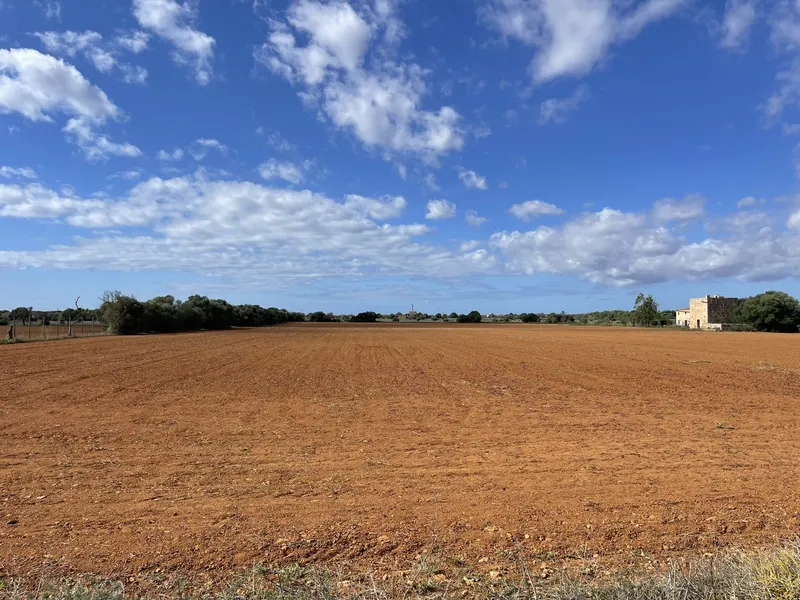 Country house between Campos and Sa Rapita to renovate — photo 7