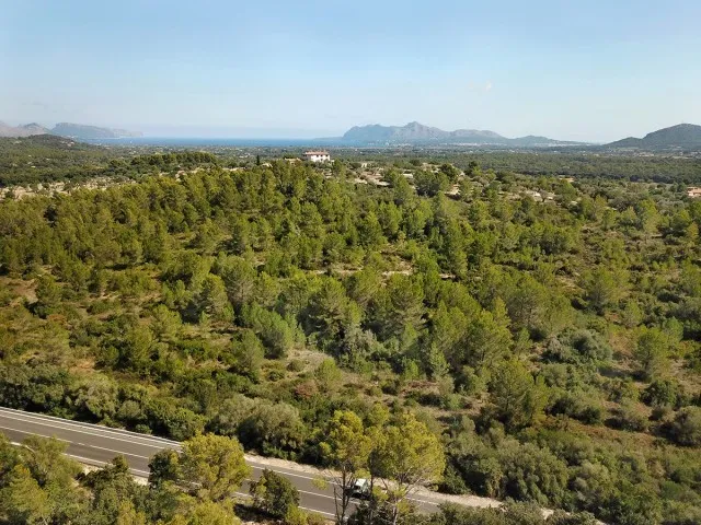 Large country plot for sale near the town of Pollensa, Mallorca — photo 6