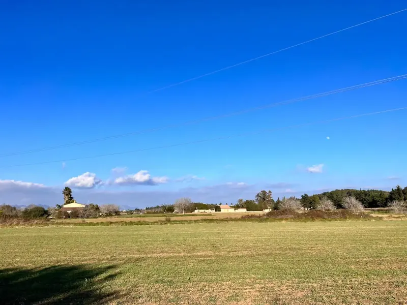 Rustic estate in Alcudia, with an area of approximately 23,000 m2, possibilities to build a detached single-family home and — photo 6