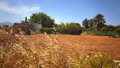 Finca rústica en Ctra Muro - Can Picafort — photo 6