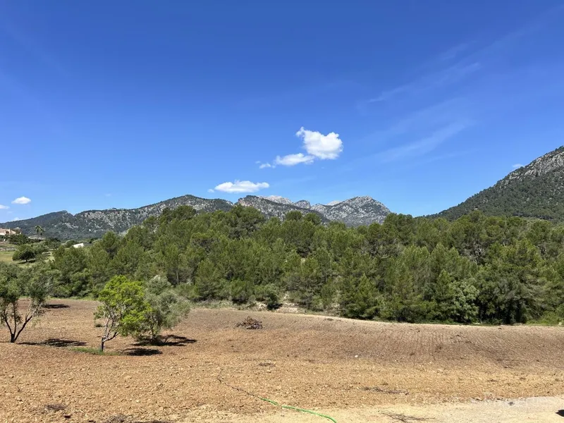 Building Plot for Sale in Selva, Mallorca, Baleares, Spain — photo 2