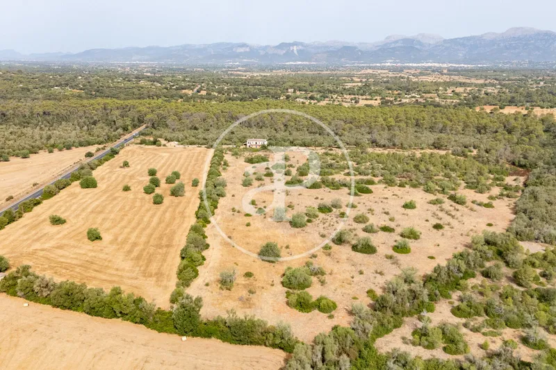 Exceptional Rustic Estate with Endless Possibilities for Sale in Sineu — photo 2