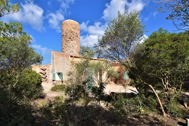 Finca/Country House for rent in Colonia de Sant Pere / Colonia de San Pedro, Artà, Mallorca — photo 7