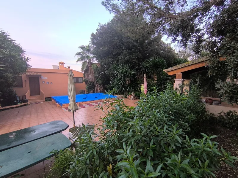 Exclusive Opportunity: Rustic Estate in the Heart of Mallorca with Pool, Well, and GESA Electricity — photo 4