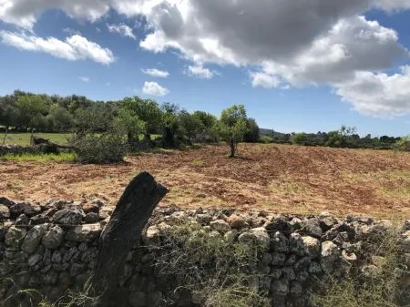 Urbanizable land - Felanitx (SHorta - Cas Concos des Cavaller) — photo 12