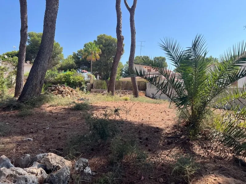 Land in Palma de Mallorca, Province of Balearic Islands — photo 3