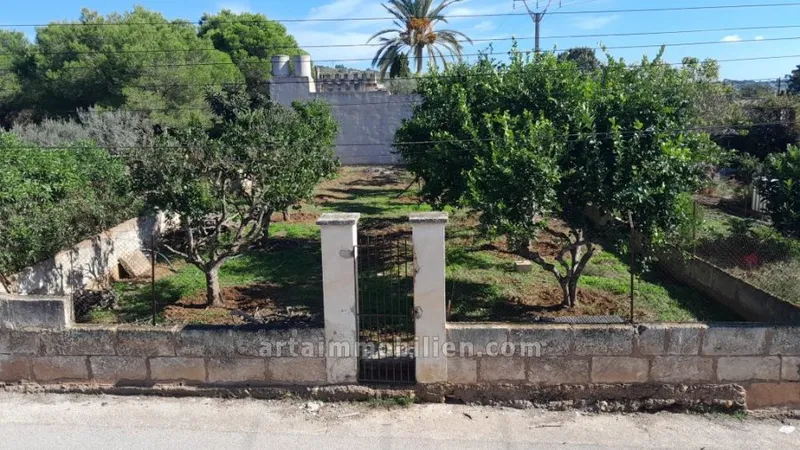 Plot in Manacor — photo 1
