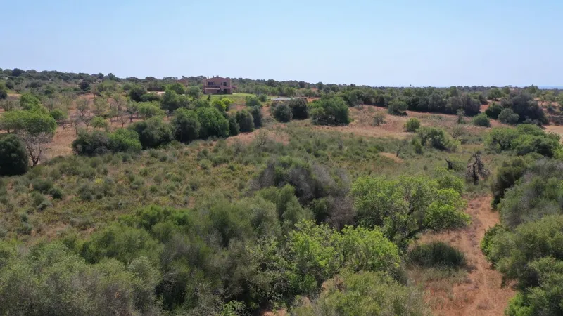 Nice plot with building license of about 330m2 in the area of Es Pujol in Alqueria Blanca — photo 4