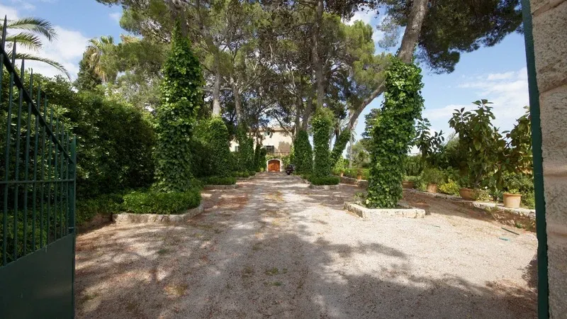 Historic rustic finca in idyllic spot in Manacor — photo 3