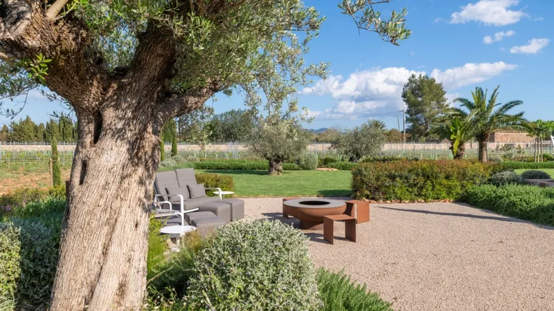 Mediterranean luxury retreat with olive grove and private vineyard in Porreres — photo 5