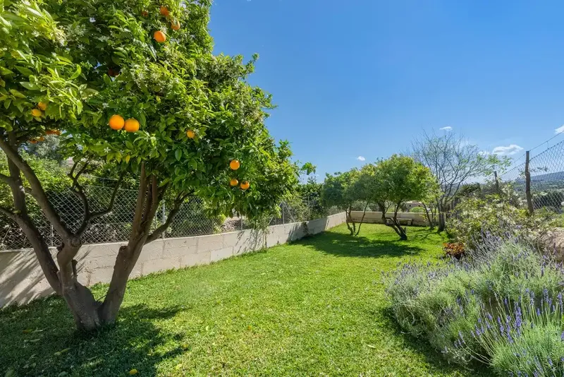 Charming renovated village house in Campanet — photo 9