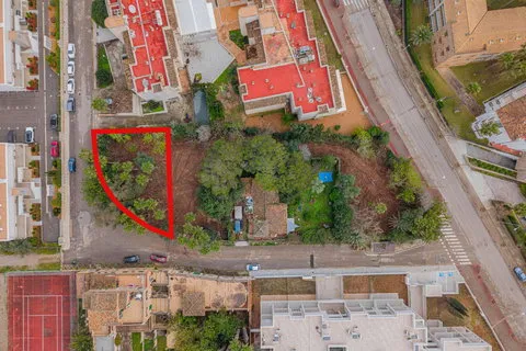 Land in Son Servera, Mallorca — photo 8