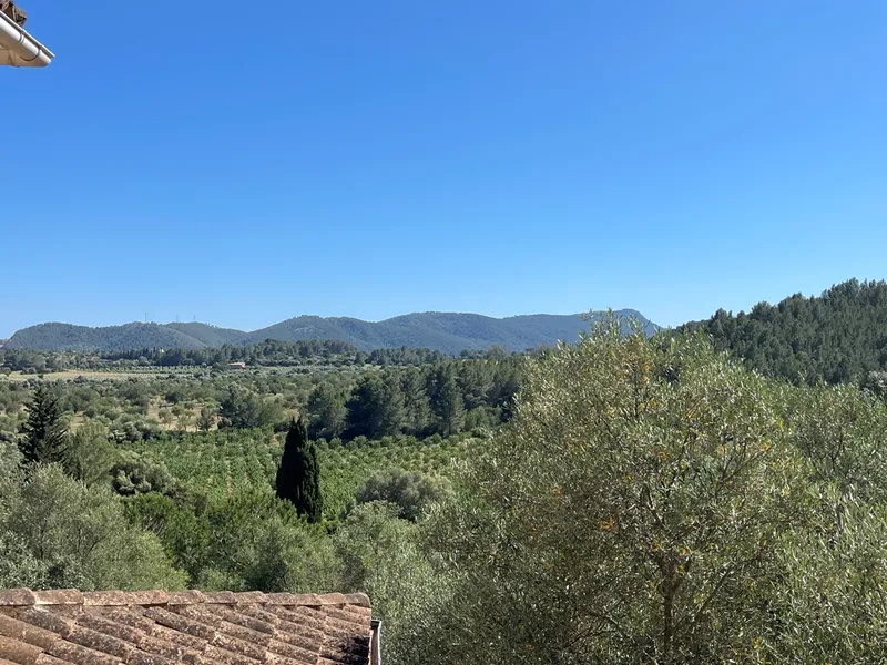 Country house in Establiments, 5 bedrooms, 3 bathrooms, land and beautiful countryside views — photo 9