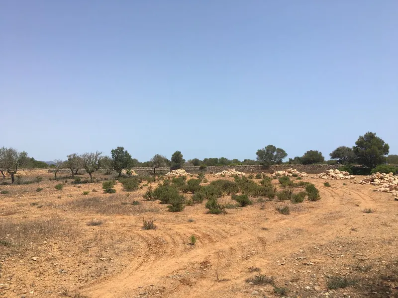 Villa for sale in Es Llombards Santanyi of 420 m2 — photo 9