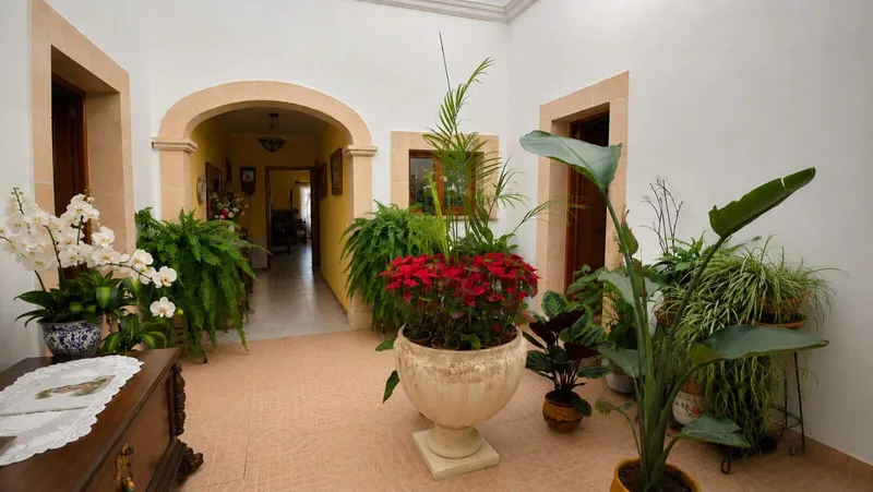 10,422 m² finca with 5 bedrooms, pool and guest apartment for sale — photo 2