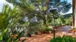 Rustic Finca for sale in Bunyola — photo 2